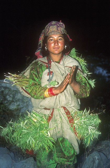 Miss ganja - svaljkanje po poti