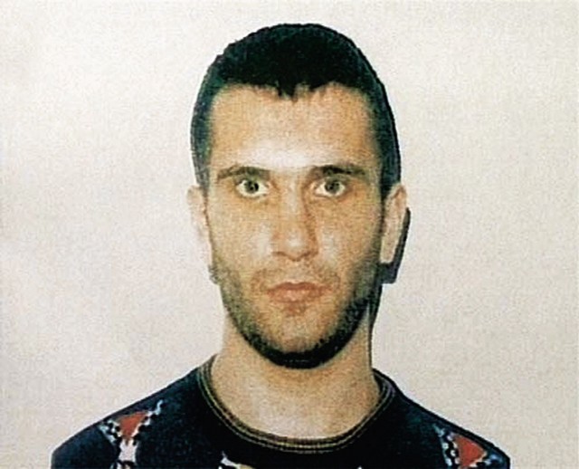Vladimir Milisaljević Budala