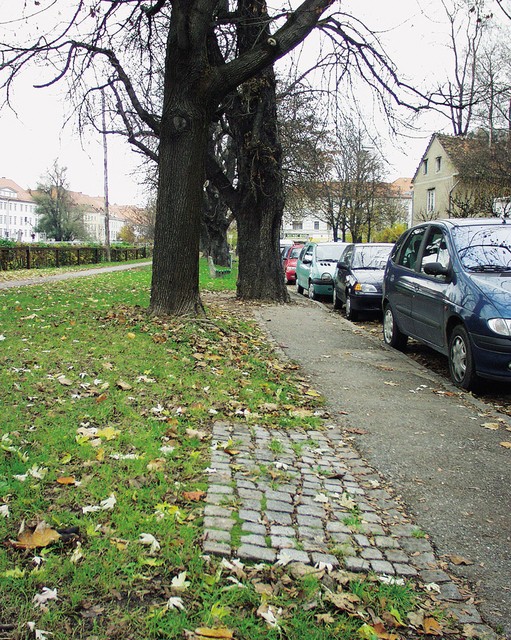 Umaknjena klopca