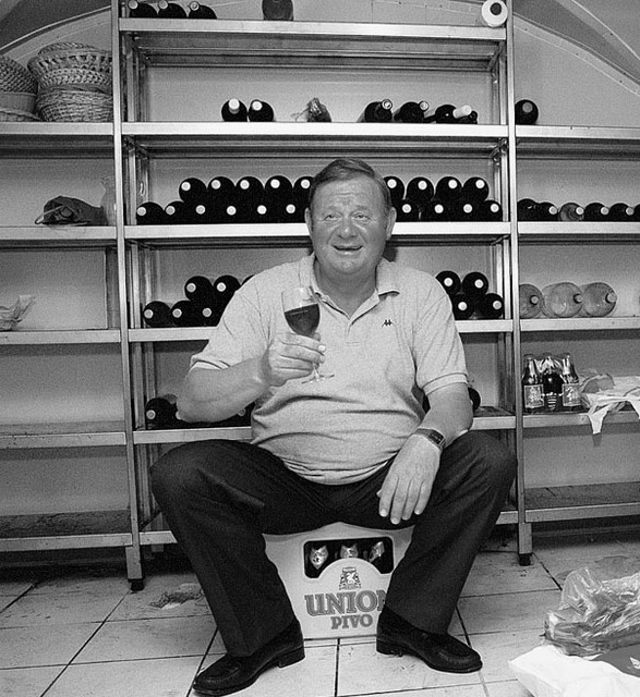 Jože Pogačnik