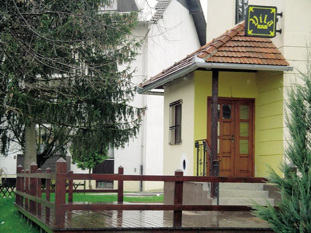 Lokal Vila: anonimna priča trdi, da je s terase lokala Vila videla obdolženca, kako je prišel iz bloka, v rokah naj bi držal palico, odložil pa naj bi jo v avto.