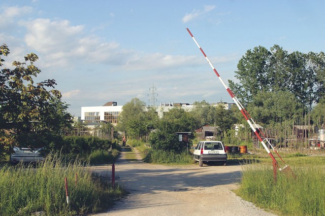 Vrtičkarji na zemljišču, kjer naj bi postavili džamijo