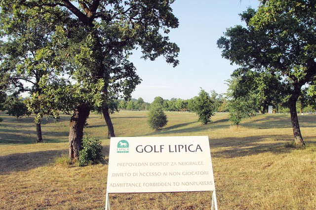 Igrišče za golf je lahko kjerkoli. Zakaj bi ga imeli ravno na zavarovanem in občutljivem kraškem območju?