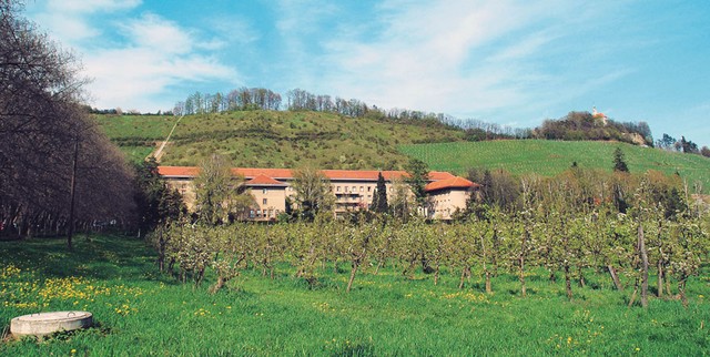 Javna šola