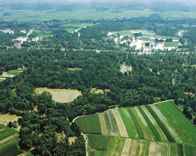Poplavljena pokrajina ob Muri Poplavljena pokrajina ob Muri