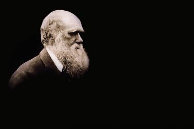 /media/www/slike.old/mladina/darwin_dvostranski.jpg
