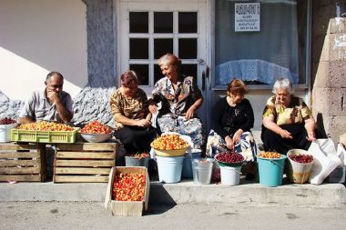 Kmetijstvo je glavna gospodarska panoga dežele. Kmetijstvo je glavna gospodarska panoga dežele.