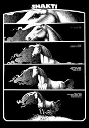 Shakti, strip, Vidici, št.3. Beograd 1977 