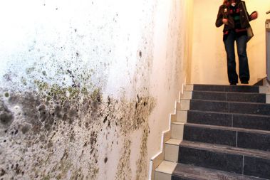 Vegrad je šel v stečaj, Hilda Tovšak se je upokojila, zadnji veliki projekt tega nekoč uspešnega gradbenega podjetja, stanovanjska soseska Celovški dvori v ljubljanski Šiški, pa je ostal nedokončan. Stanovanja so sicer suha, toda podzemne kleti in garaže so bile še v začetku tega meseca, ko so fotografi še lahko prosto vstopali v objekte, polne vode in plesni. Vegrad je šel v stečaj, Hilda Tovšak se je upokojila, zadnji veliki projekt tega nekoč uspešnega gradbenega podjetja, stanovanjska soseska Celovški dvori v ljubljanski Šiški, pa je ostal nedokončan. Stanovanja so sicer suha, toda podzemne kleti in garaže so bile še v začetku tega meseca, ko so fotografi še lahko prosto vstopali v objekte, polne vode in plesni.