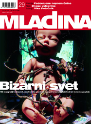 Mladina 29/2001