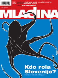 Mladina 6/2002