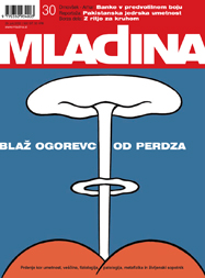 Mladina 30/2002