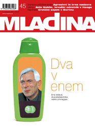 Mladina 45/2002
