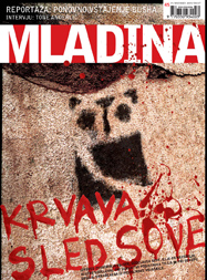 Mladina 45/2004