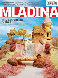 Mladina 2/2008