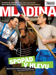 Mladina 6/2008