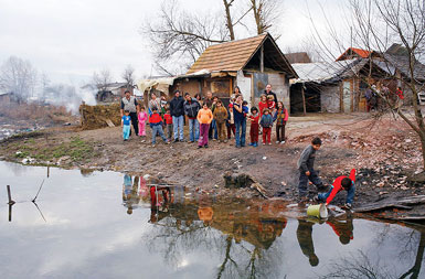 Kot na pokopališču