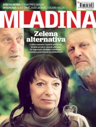 Številka 38/2011