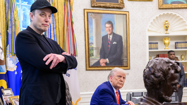 Musk bo z Grokipedijo konkuriral Wikipediji